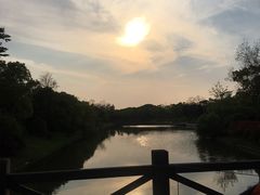 -上海海湾国家森林公园