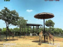 -上海野生动物园
