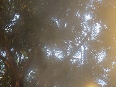 -湖泉半山温泉(湖泉生态园)