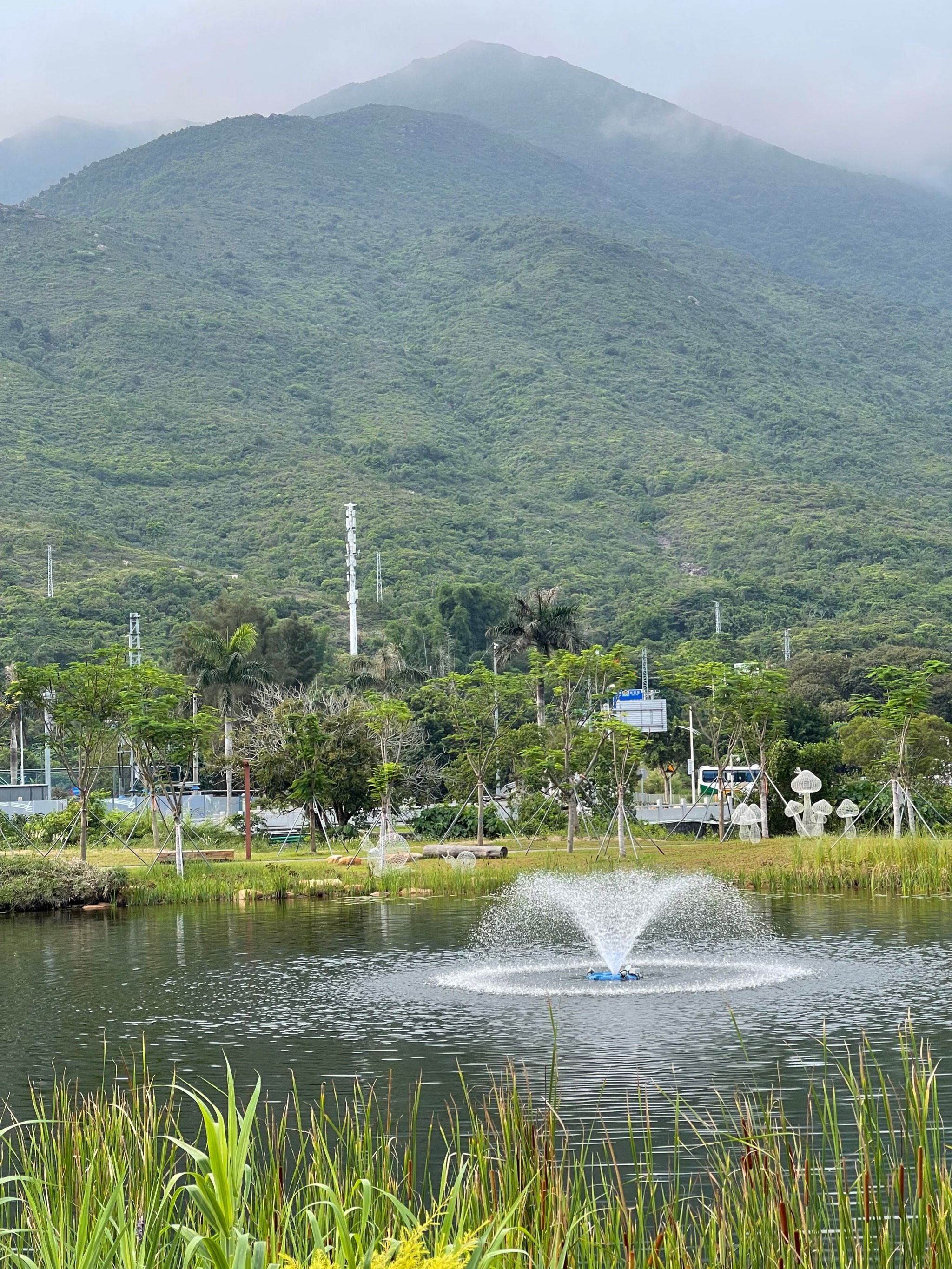 东涌绿道湿地公园图片