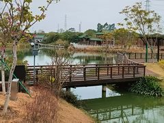 -王借岗森林公园