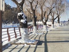 -长春市南湖公园