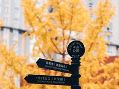-中山公园
