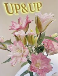 -UP&UP·半永久眉毛眼线机器野生眉