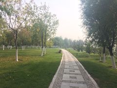 -武清南湖绿博园