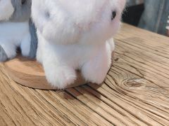 -寿奶茶·鲜奶与茶(合生汇购物中心店)