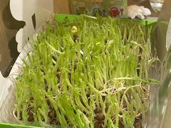 -海底捞火锅(九久奥特莱斯店)