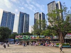 -深圳野生动物园