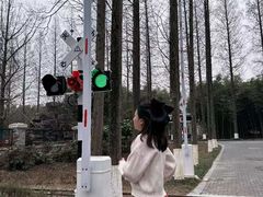 -黄海国家森林公园