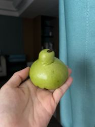 -盈月阁母婴护理中心·月子中心·月嫂育儿嫂