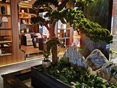 -江南足纪·影院足道·轻奢SPA(笋岗HALO广场店)