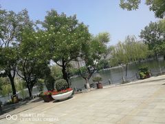 -文瀛公园