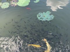 -广州神农草堂中医药博物馆