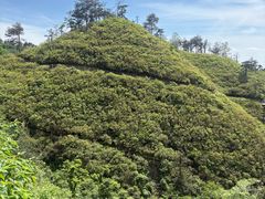 -木兰云雾山