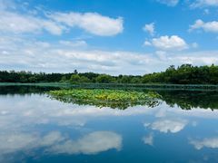 -溱湖国家湿地公园