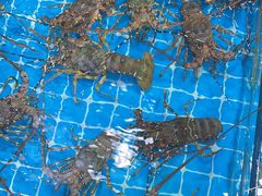 -醉壹号海鲜大排档(厦门美食地标店)