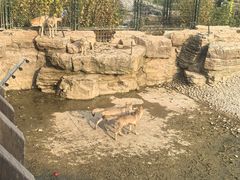 -太原动物园