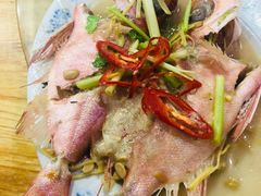 -长平肥姐白粥·海鲜打冷