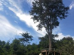 -倒立小屋