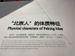 -北京周口店北京人遗址博物馆