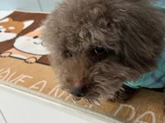 -纳吉亚猫专科动物诊疗中心(蒋宅口分院)