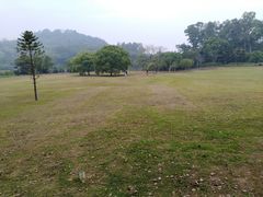 -福建鲤鱼洲酒店