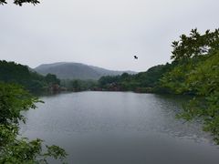 -白马涧龙池景区