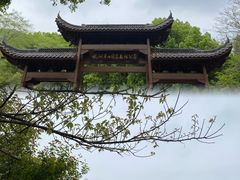 -杭州半山国家森林公园