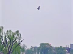 -烟袋斜街