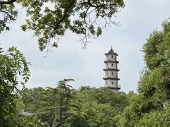 -江心屿景区