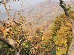-紫金山山顶公园