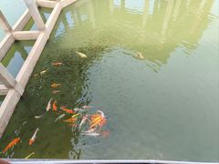 -水濂山森林公园