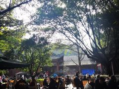 -望江楼公园