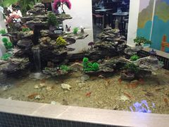 -南美元生态大酒店(海珠店)