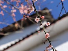 -清溪水库