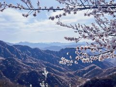 -大岭沟猕猴桃谷风景区