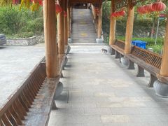 -开福禅寺