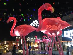 -菜百首饰(朝阳店)