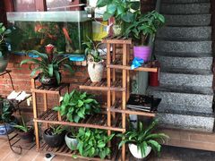 -阿鹏故事云南野生菌火锅(人民路店)