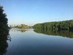 -大湾区中央湿地公园