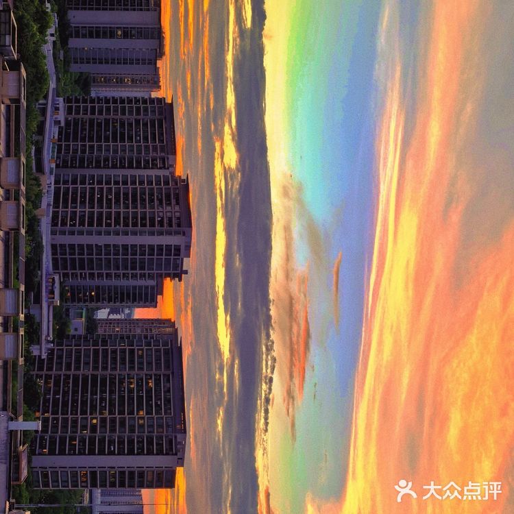 我的咖啡品鉴日记