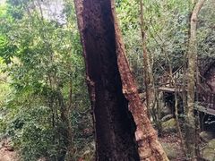 -七仙岭温泉国家森林公园