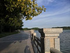 -海珠湖公园