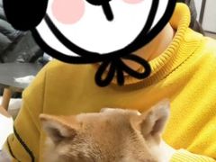 -逗柴咖啡屋·狗咖猫咖宠物桌游