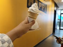 -麦当劳(廊坊新华路店)