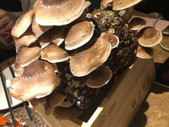 -七欣天香辣蟹火锅(苏州相城VIP总店)