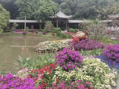 -广州市白云山风景名胜区