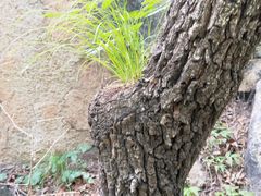 -碓臼峪自然风景区