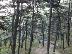 -北京鹫峰国家森林公园