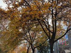 -航天馒头(瞻园路店)